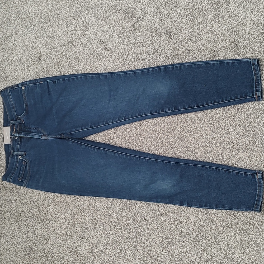 Everlane Classic Blue Skinny Jeans